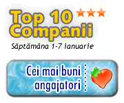 Top 10 companii